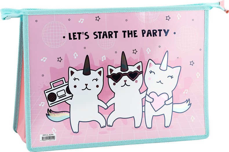 

Папка для тетрадей ArtSpace Party ПТР-22_42244