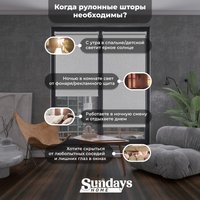Рулонные шторы Sundays Home LM 97-11 85х160 (белый)