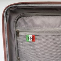 Чемодан-спиннер Francesco Molinary 344-8038/2-24PNK (розовый)