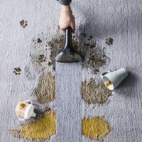 Пылесос Tefal Clean It IZ5020 в Гродно