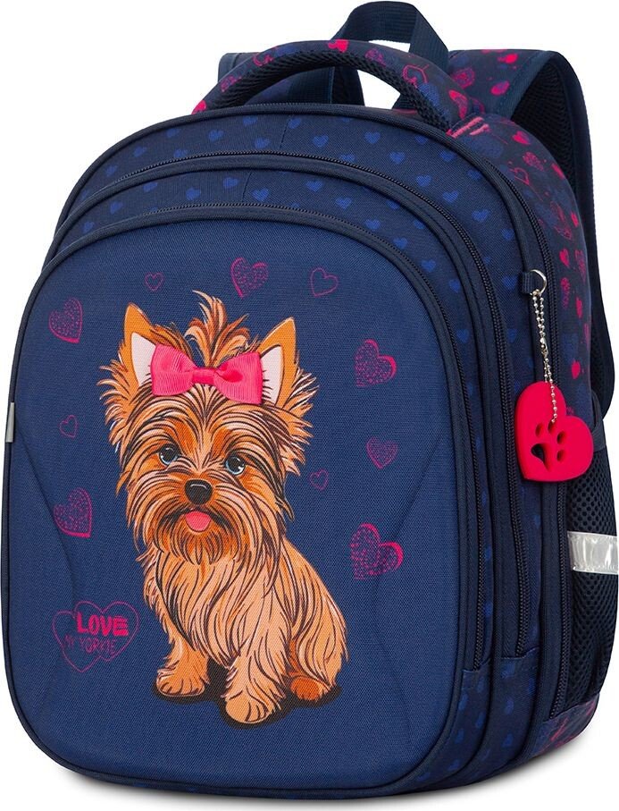 

Школьный рюкзак Steiner SK2-31