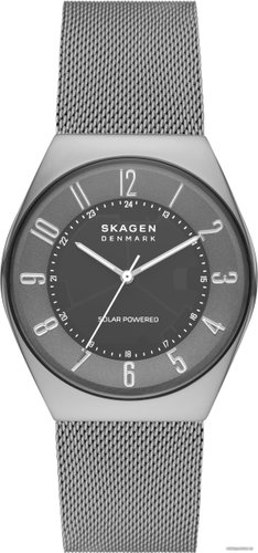 Наручные часы Skagen Grenen SKW6836