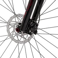 Велосипед Welt Rambler 2.0 L 2025 (Baron Red)