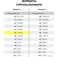 Пленка для ламинирования BRAUBERG Brauberg А5 75 мкм 100 шт 530898 (глянцевый, прозрачный)