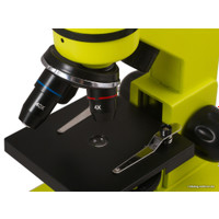 Детский микроскоп Levenhuk Rainbow 2L (лайм) 69038 в Гродно