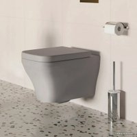 Сиденье для унитаза Ambassador Benefit 202T20301 (серый матовый)