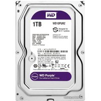 Жесткий диск WD Purple 1TB [WD10PURZ]
