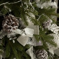 Ель Erbis Swierk PE Gesty Lux 180