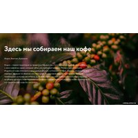 Кофе Жокей Триумф растворимый 150 г