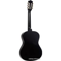 Акустическая гитара Terris TC-3801A BK