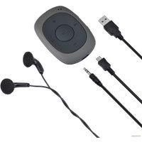 Плеер MP3 Digma C2LG (серый) [367272]