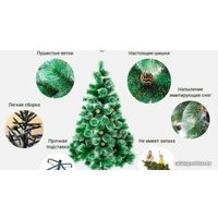 Сосна MA пушистая 3 м