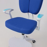 Детское ортопедическое кресло AksHome Pegas (синий)