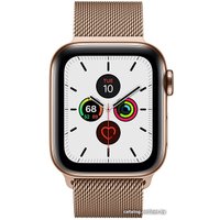 Умные часы Apple Watch Series 5 LTE 40 мм (сталь золотистый/миланский золотой)