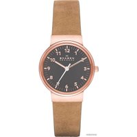 Наручные часы Skagen SKW2189