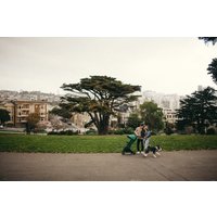 Коляска прогулочная «книга» Anex Air-x 2022 (green)