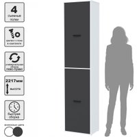 Шкаф распашной Интерлиния Skill-21 (2) (белый/антрацит)