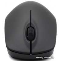 Мышь Ritmix RMW-506