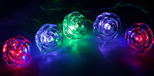 

Новогодняя гирлянда Luazon Метраж Цветочки Led-20 (5 м, мульти) [671573]