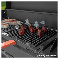 Мангал для дачи Helios Smart-1200 Люкс HS-GS-M1204-L