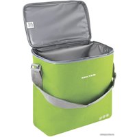 Термосумка БИОСТАЛЬ Кантри TCD-G 20л (зеленый лайм)