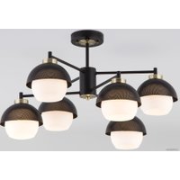 Люстра средней высоты Евросвет Nocciola 70106/6 (Black)