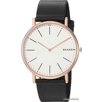 Наручные часы Skagen SKW6430