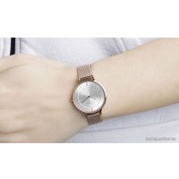 Наручные часы Skagen SKW2151