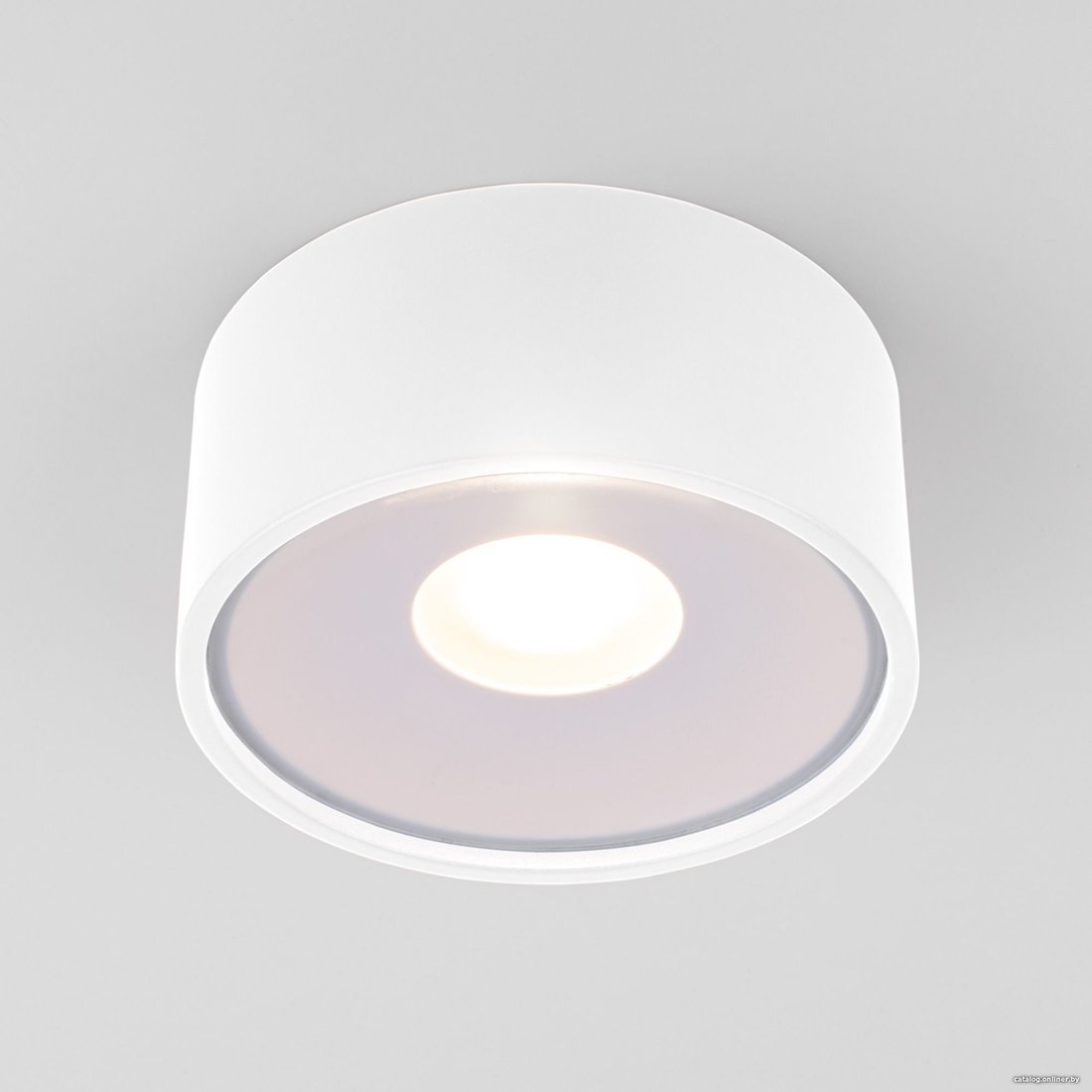 Уличный накладной светильник Elektrostandard Light LED 2135 35141/H (белый)
