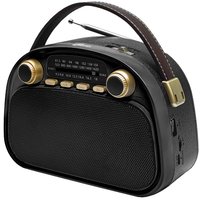 Радиоприемник Ritmix RPR-040 (черный)