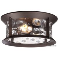 Уличный подвесной светильник Odeon Light Mavret 4961/2C