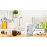 Электрический чайник Zelmer ZCK7616S