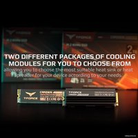 SSD Team T-Force Cardea A440 Pro Graphene 1TB TM8FPR001T0C129