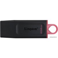 USB Flash Kingston Exodia 256GB