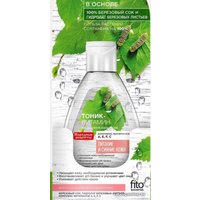  Фитокосметик Тоник для лица Витамин на 100% березовом соке 165 мл