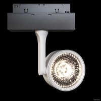 Трековый светильник Maytoni Track lamps TR024-2-10W3K