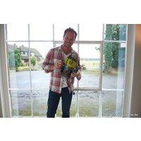 Вертикальный фрезер Ryobi RRT1600-PK (5133002606)