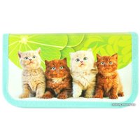 Пенал Пчелка Рыжие котята ПО-09