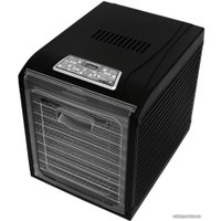 Сушилка для овощей и фруктов Rawmid Dream Vitamin DDV-10 (черный)