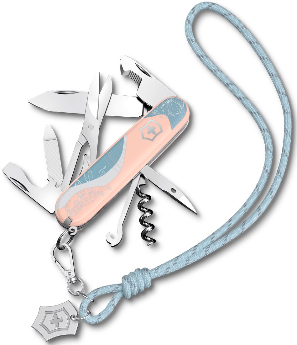 Мультитул Victorinox Companion Paris Style 1.3909.E221
