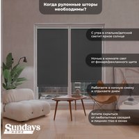 Рулонные шторы Sundays Home LM 167-07 160х170 (темно-серый)