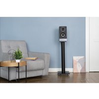 Полочная акустика Radiotehnika S-20N