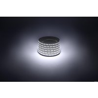 Светодиодная лента ЭРА LS2835 -14,4-180-12-6500K-IP20-1 year-5m холодный белый Б0059905