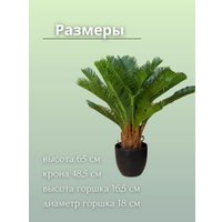 Искусственное растение Merry Bear Home Decor Пальма Саговая Цикас AR23065