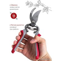 Секатор Frut Club 402217