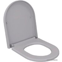 Сиденье для унитаза Ambassador Queen 112T20301 (серый матовый)