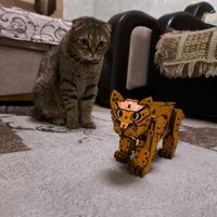 Сборная модель Eco-Wood-Art Котенок (рыжий)