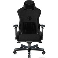 Игровое (геймерское) кресло AndaSeat T-Pro 2 (черный) в Борисове