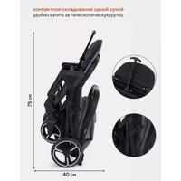 Коляска прогулочная «книга» Rant MOWbaby Smart 2023 MB101 (grey)