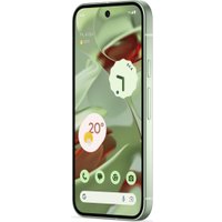 Смартфон Google Pixel 9 12GB/256GB (винтергрин)